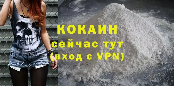 индика Алагир