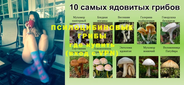 ALPHA-PVP Белокуриха