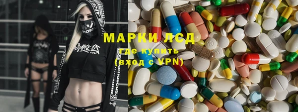 индика Алагир