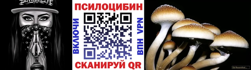 Галлюциногенные грибы GOLDEN TEACHER  Высоковск 