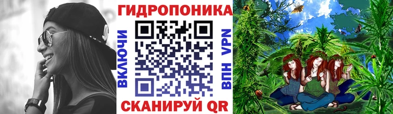 МАРИХУАНА White Widow  закладки  mega маркетплейс  Высоковск 